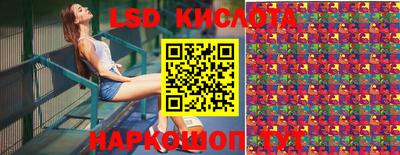 индика Кулебаки