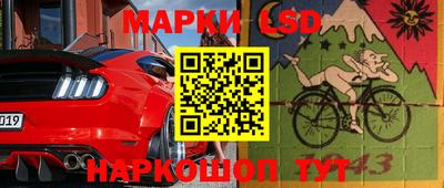 индика Кулебаки