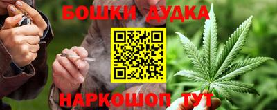 индика Кулебаки