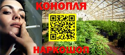 индика Кулебаки