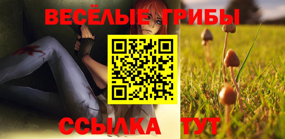 Галлюциногенные грибы мицелий Ижевск