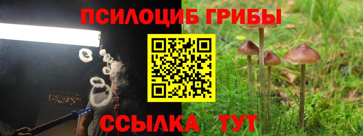 Псилоцибиновые грибы мицелий  Вход с VPN  магазин продажи   Ижевск 